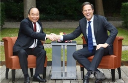 Thủ tướng Nguyễn Xuân Phúc hội đàm với Thủ tướng Hà Lan Mark Rutte